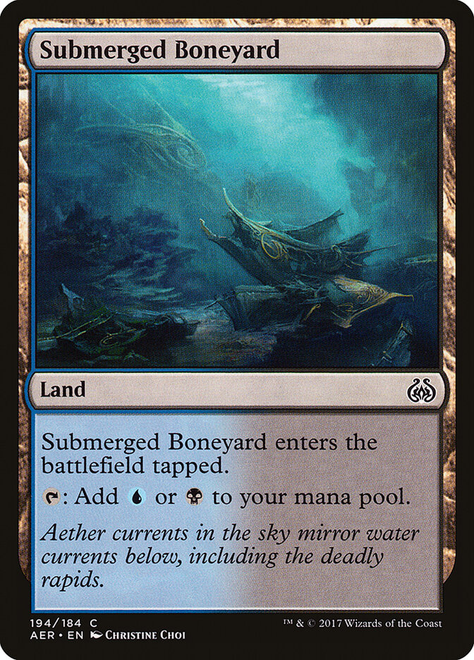 Submerged Boneyard aer 194