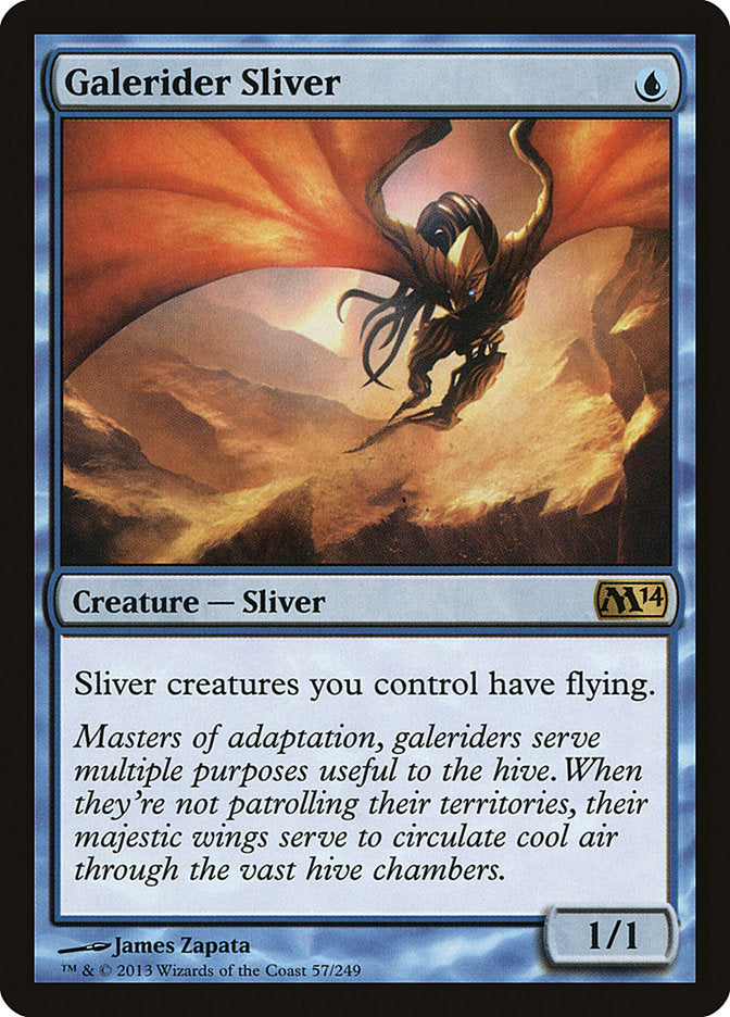 Galerider Sliver m14 57