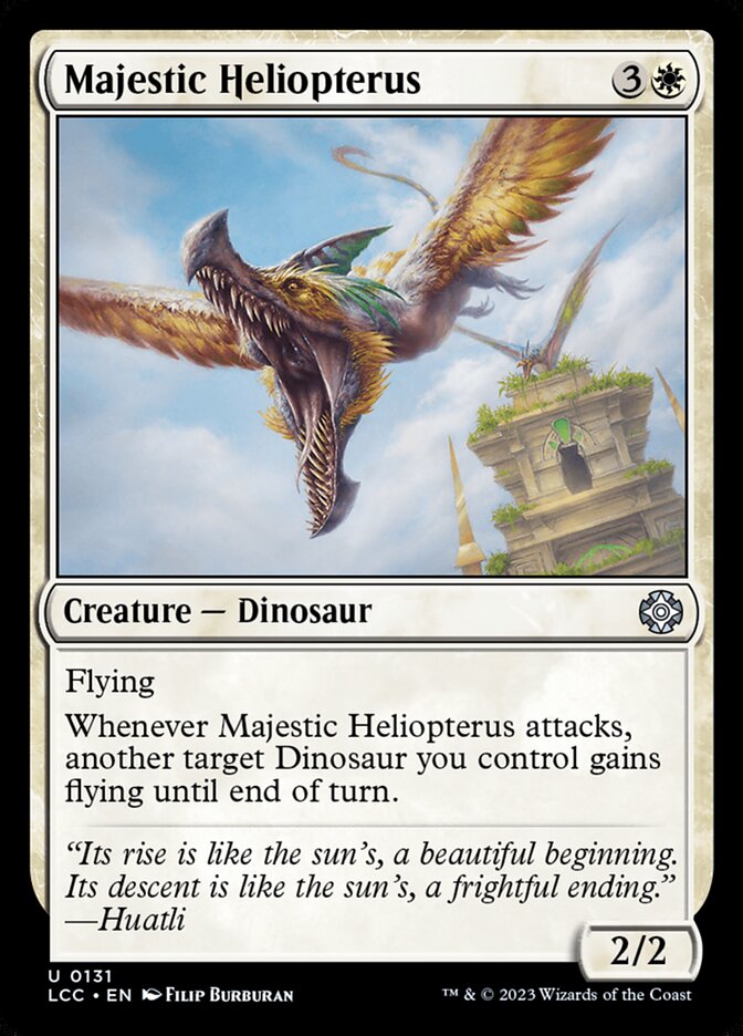 Majestic Heliopterus lcc 131