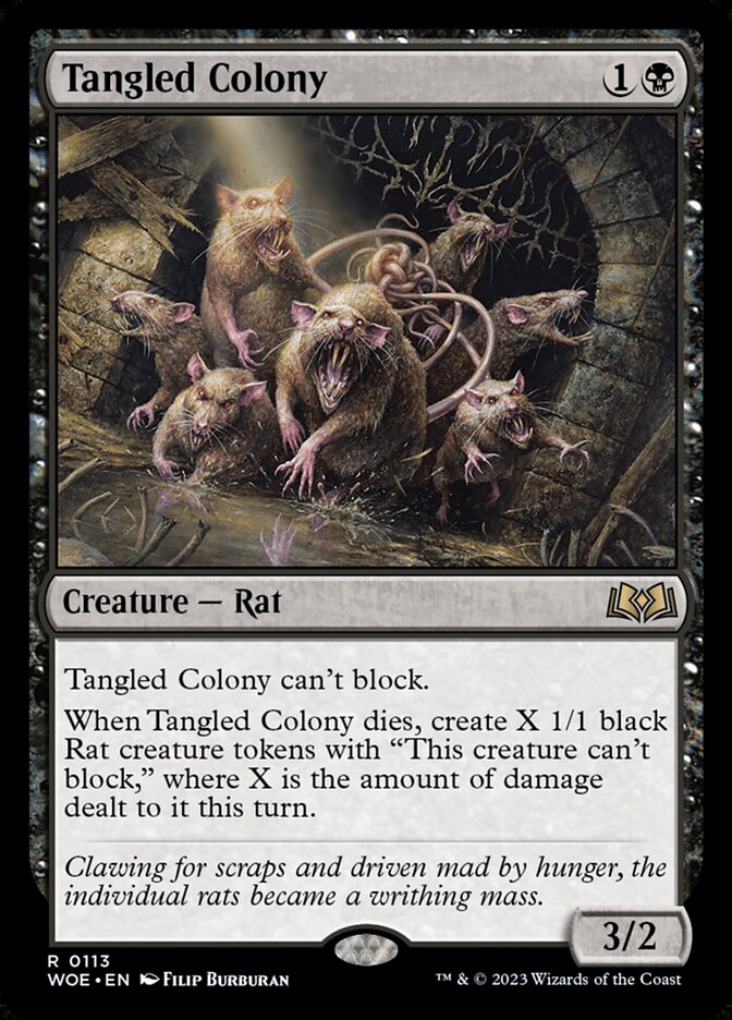Tangled Colony woe 113