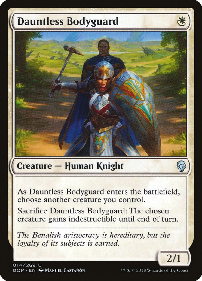 Dauntless Bodyguard dom 14