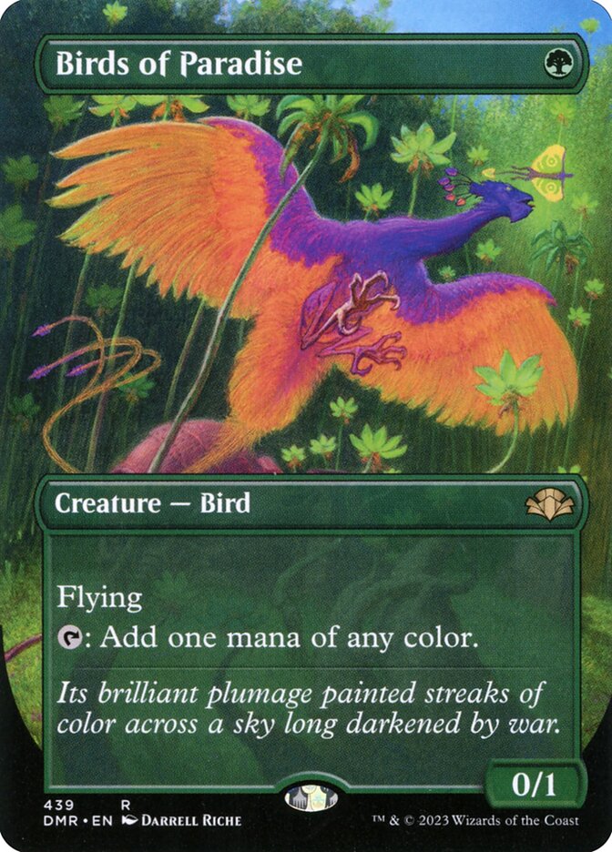 Birds of Paradise dmr 439