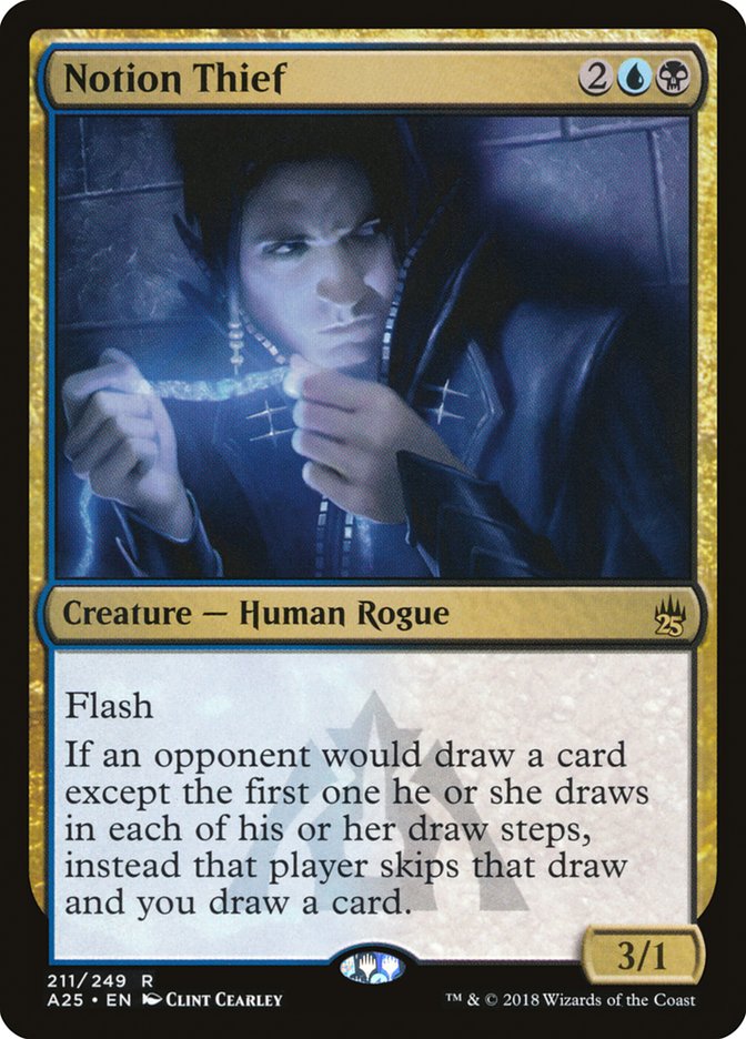 Notion Thief a25 211