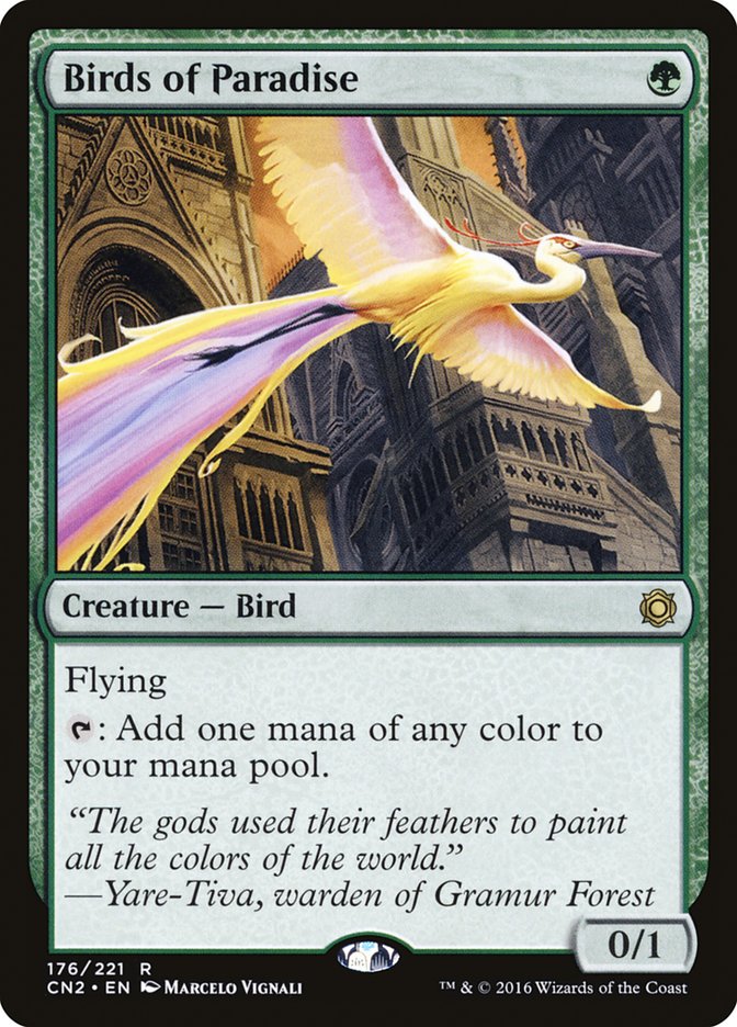 Birds of Paradise cn2 176