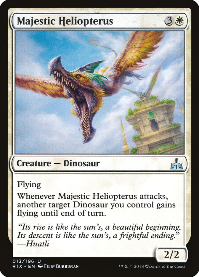 Majestic Heliopterus rix 13