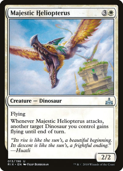 Majestic Heliopterus rix 13