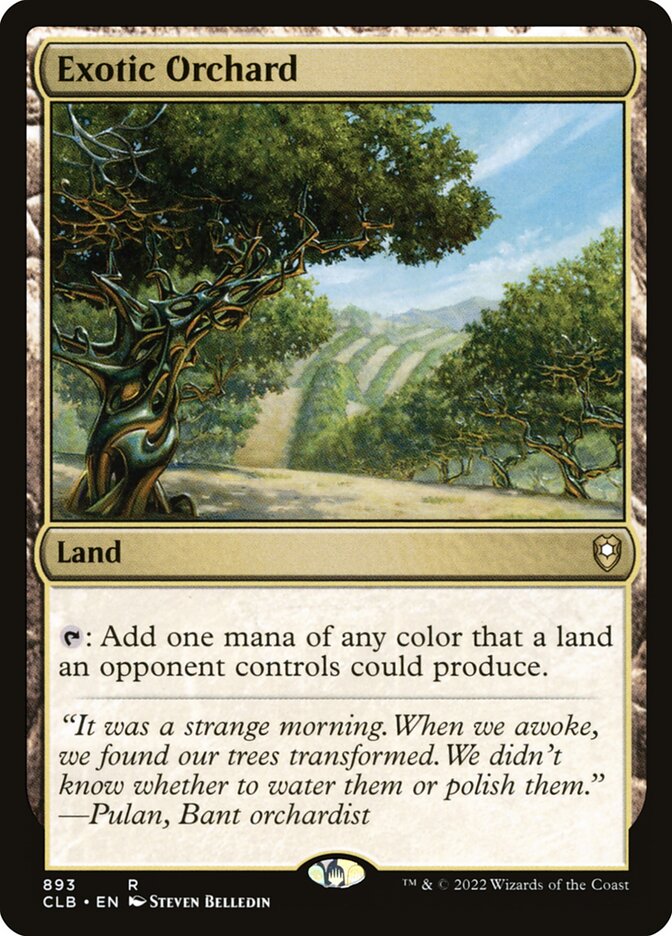 Exotic Orchard clb 893