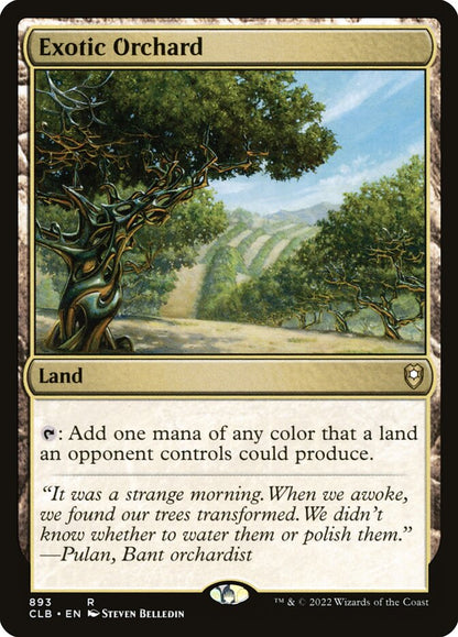 Exotic Orchard clb 893