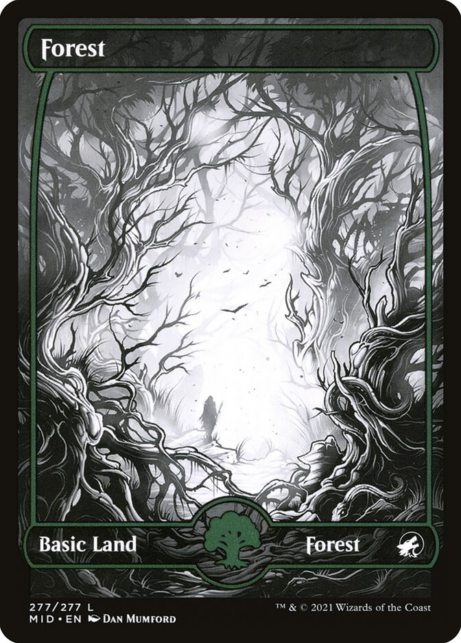 Forest mid 277