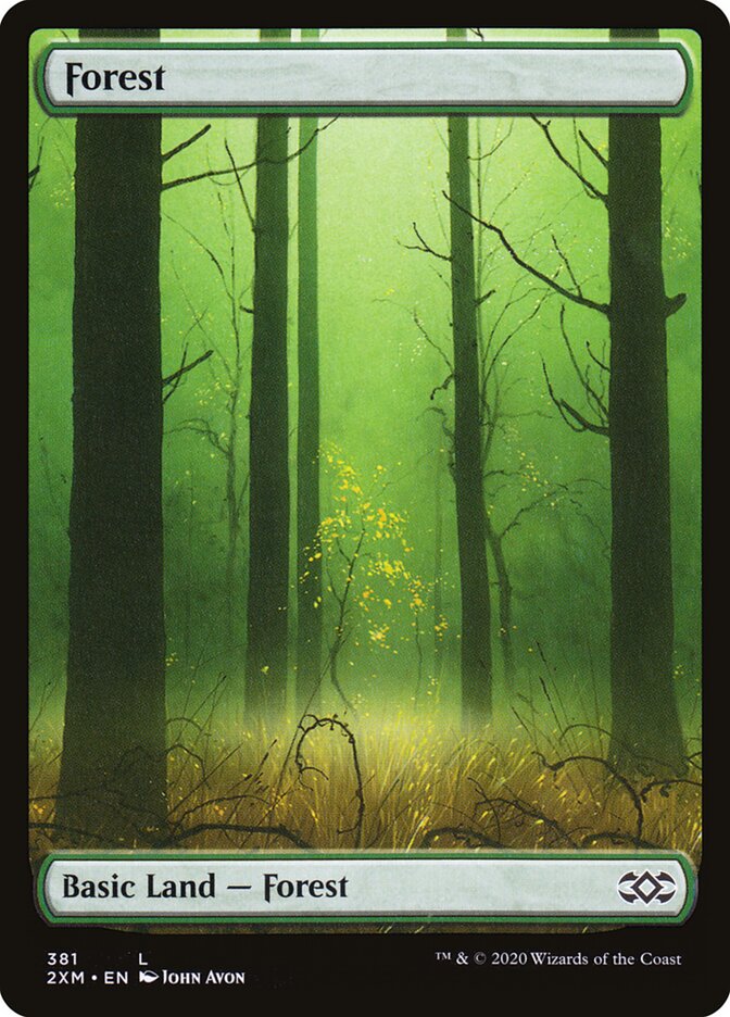 Forest 2xm 381