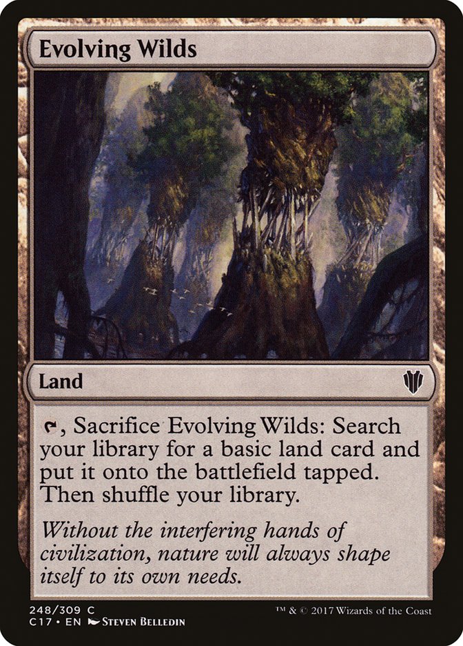 Evolving Wilds c17 248