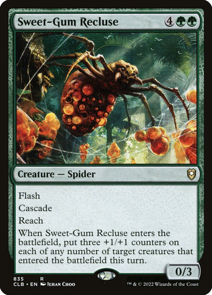 Sweet-Gum Recluse clb 835