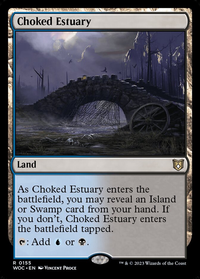 Choked Estuary woc 155