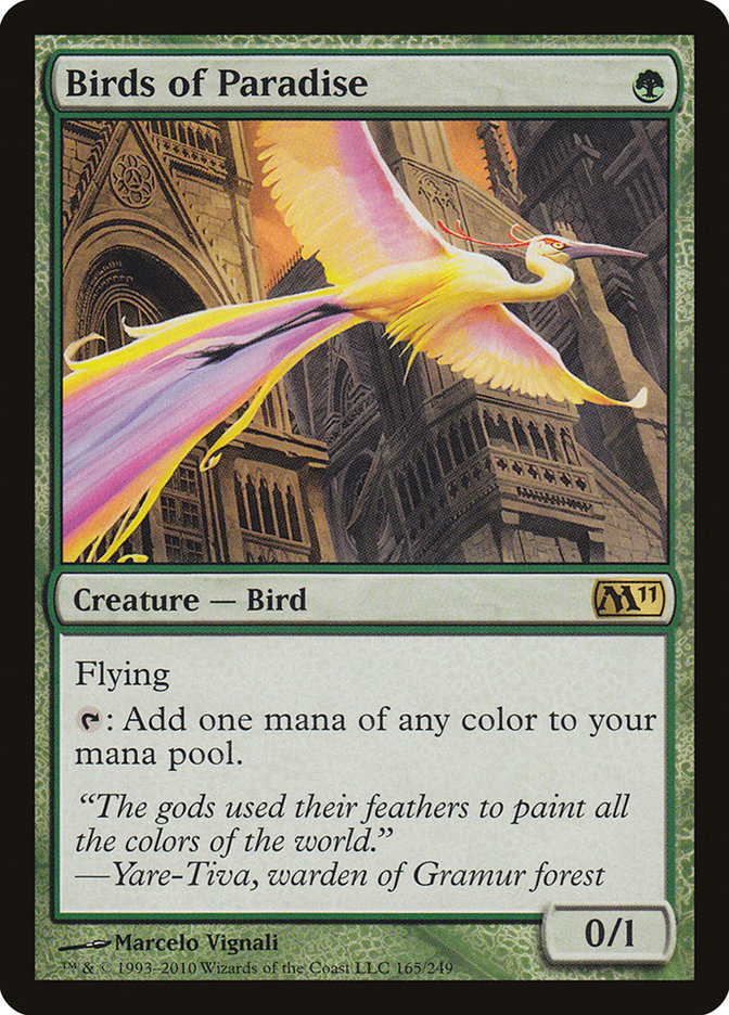 Birds of Paradise m11 165