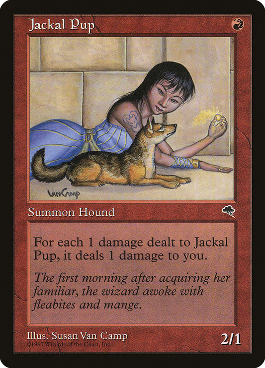 Jackal Pup tmp 183