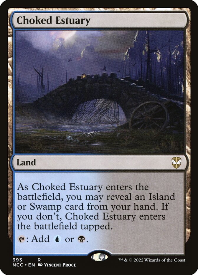 Choked Estuary ncc 393