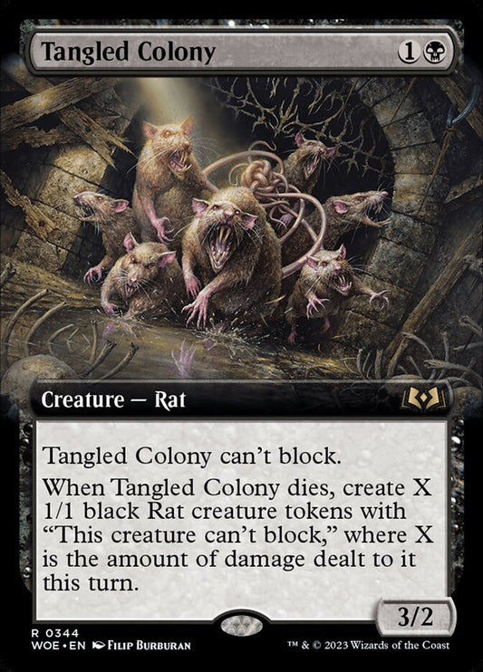 Tangled Colony woe 344