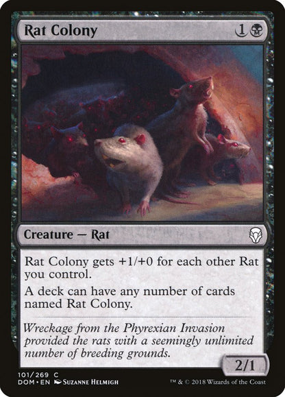 Rat Colony dom 101