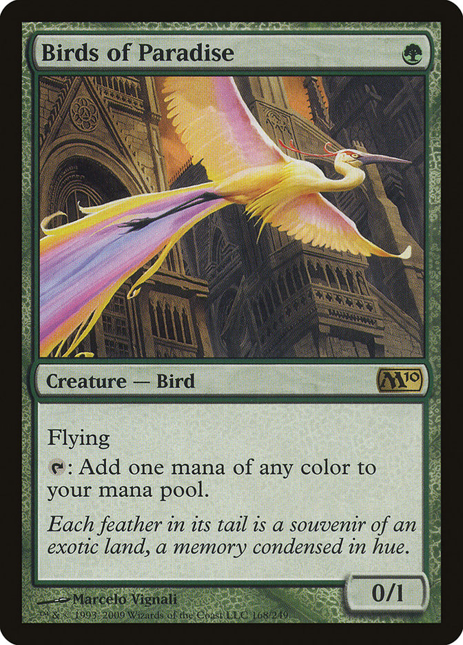 Birds of Paradise m10 168