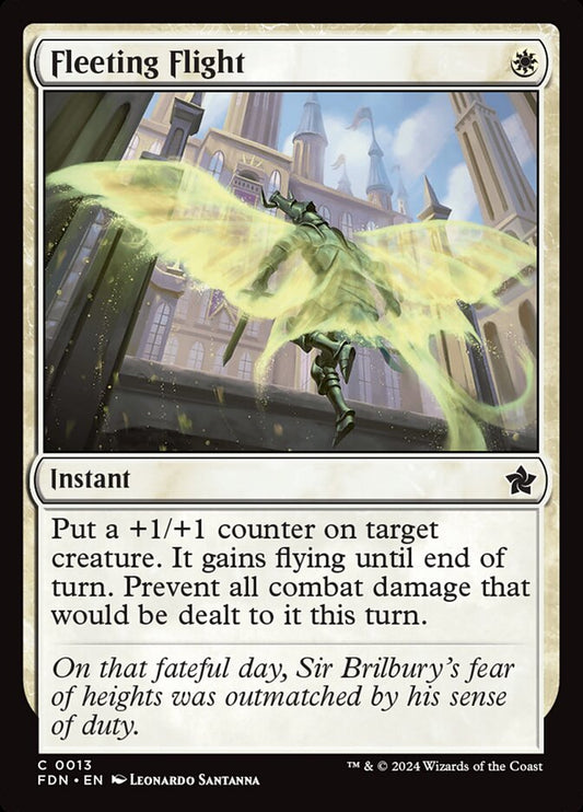 Fleeting Flight fdn 13