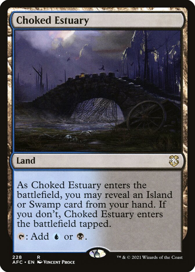 Choked Estuary afc 228