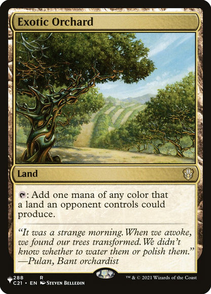 Exotic Orchard plst C21-288