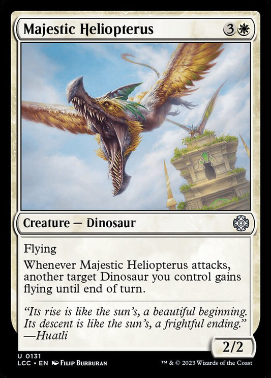 Majestic Heliopterus lcc 131