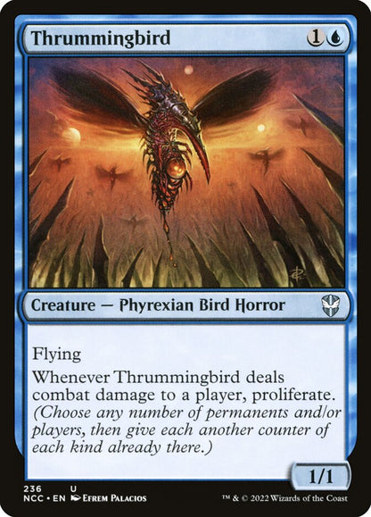 Thrummingbird ncc 236