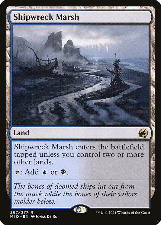 Shipwreck Marsh mid 267