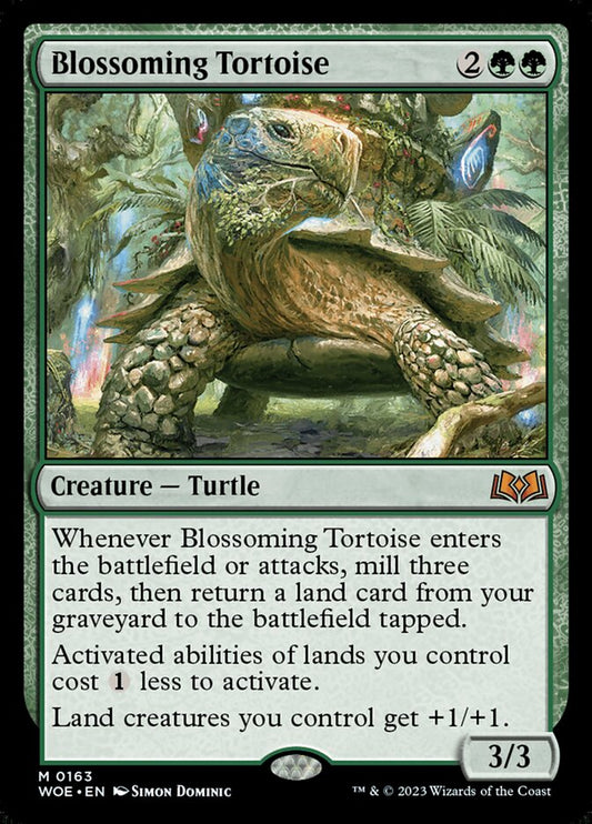 Blossoming Tortoise woe 163