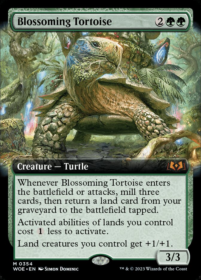 Blossoming Tortoise woe 354