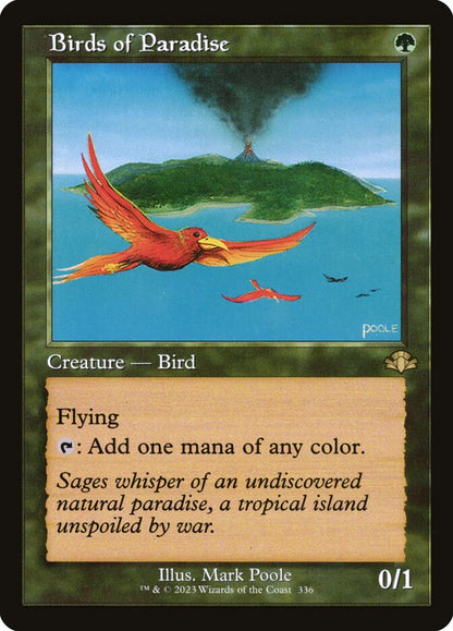 Birds of Paradise dmr 336
