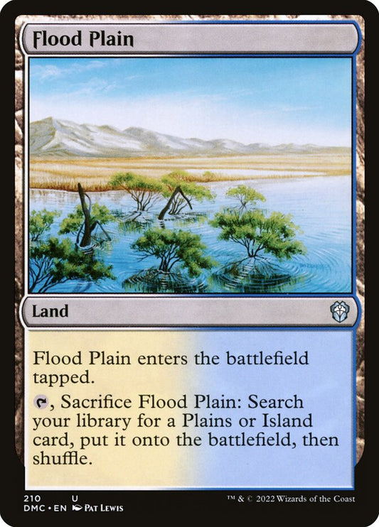 Flood Plain dmc 210