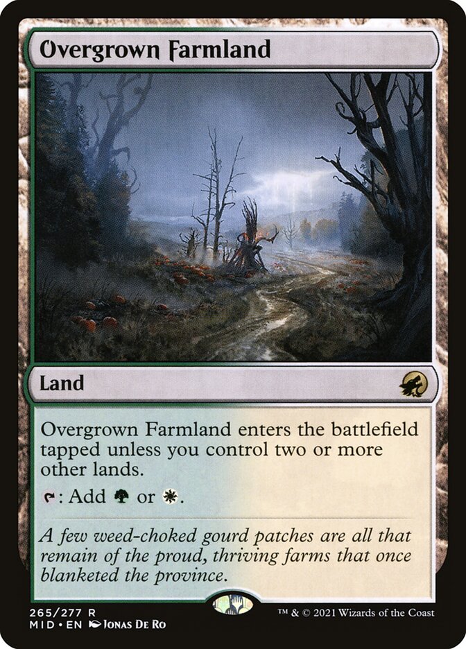 Overgrown Farmland mid 265