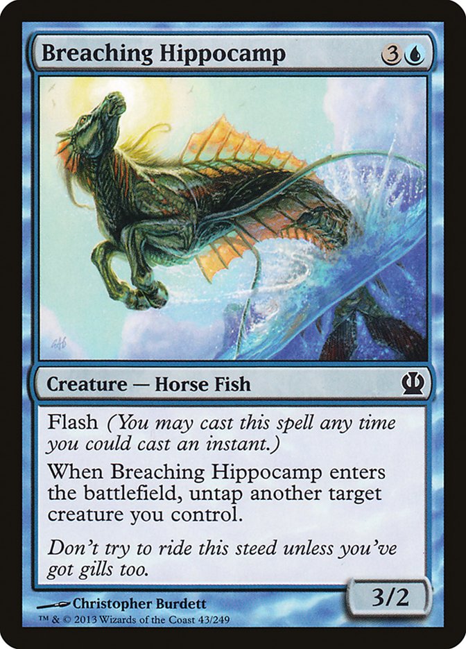 Breaching Hippocamp ths 43