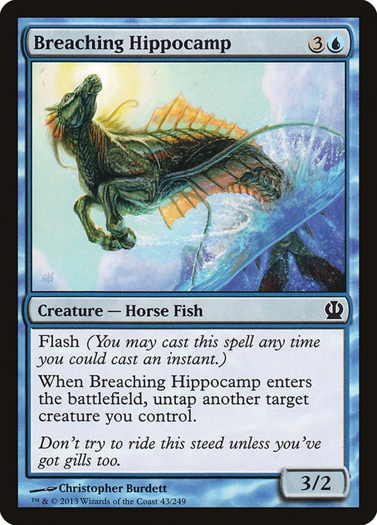 Breaching Hippocamp ths 43