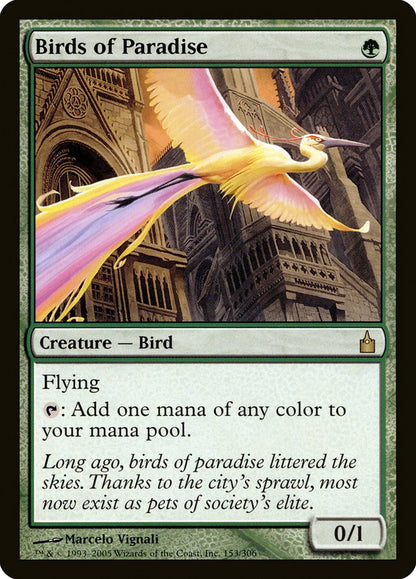 Birds of Paradise rav 153