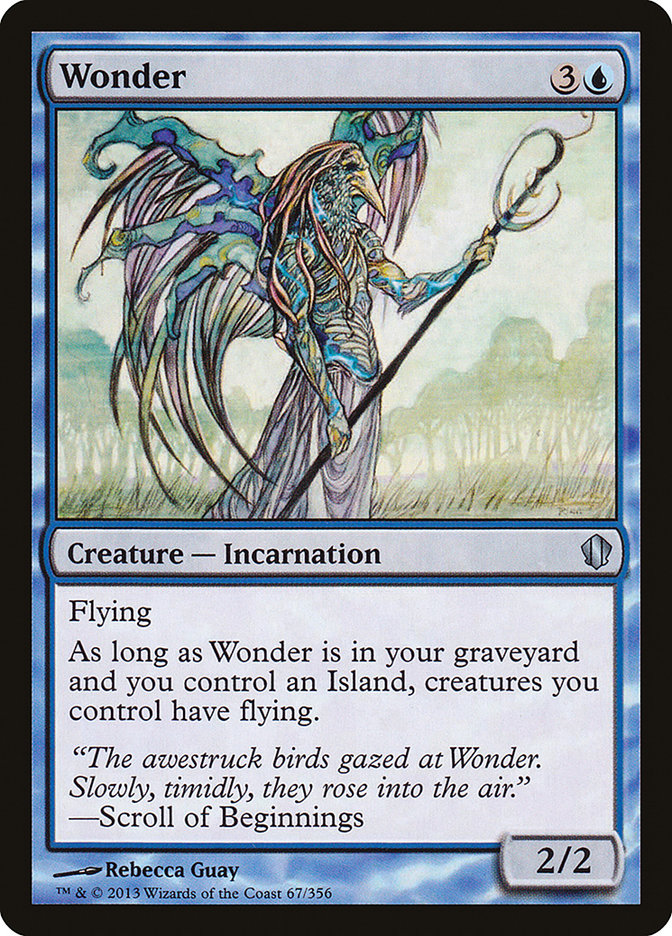 Wonder c13 67