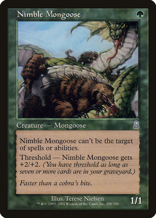 Nimble Mongoose ody 258