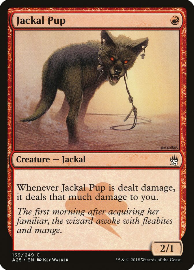 Jackal Pup a25 139