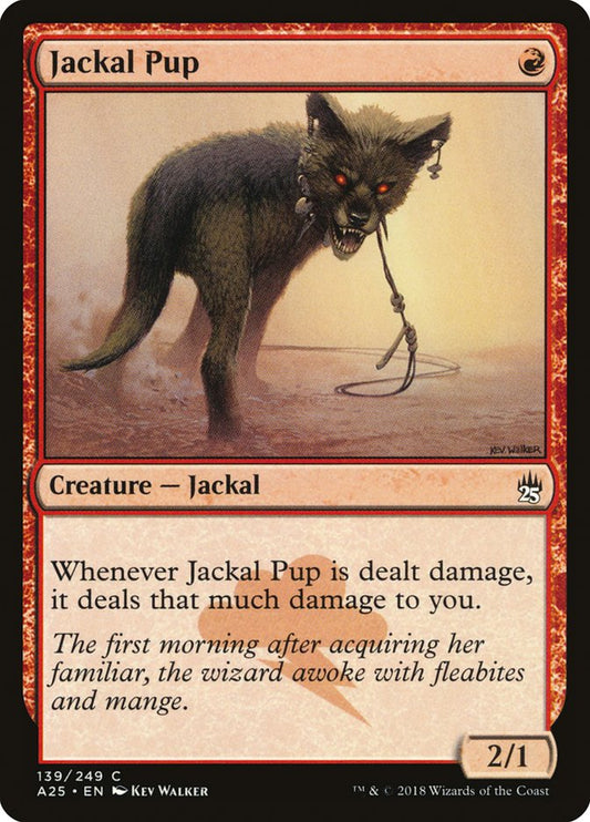 Jackal Pup a25 139