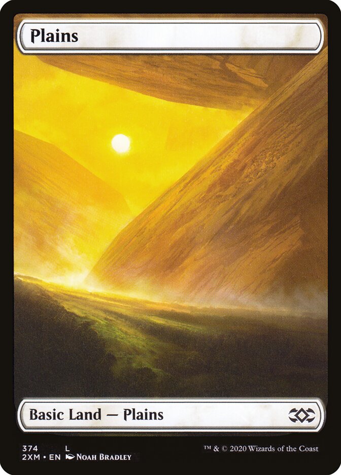 Plains 2xm 374