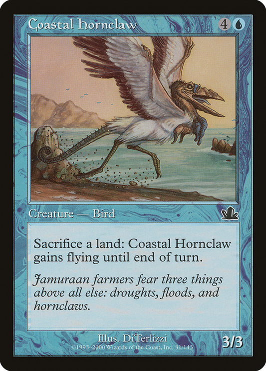Coastal Hornclaw pcy 31