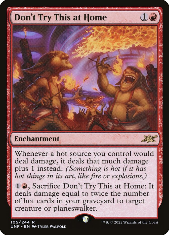 Don't Try This at Home unf 105