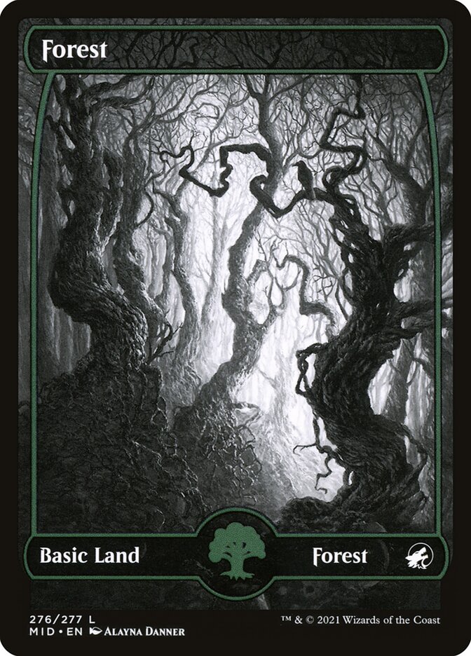Forest mid 276