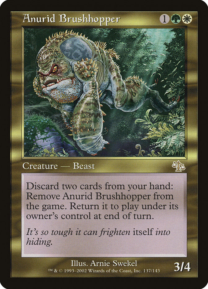 Anurid Brushhopper jud 137