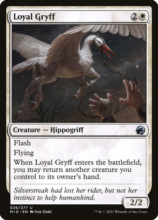 Loyal Gryff mid 26