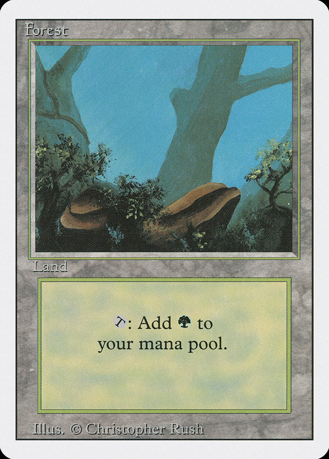 Forest 3ed 304