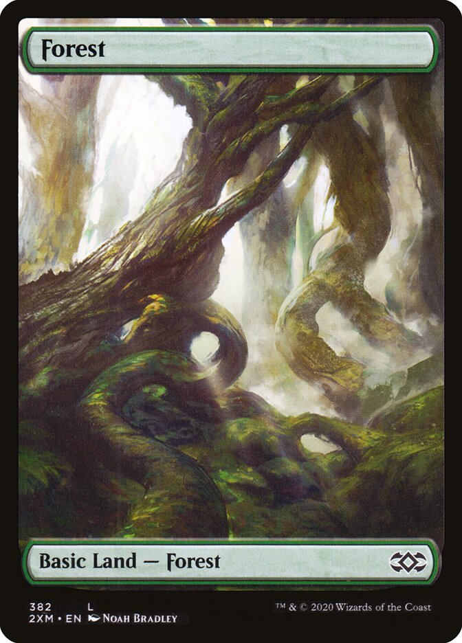 Forest 2xm 382