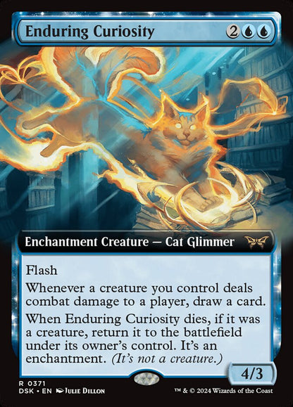 Enduring Curiosity dsk 371